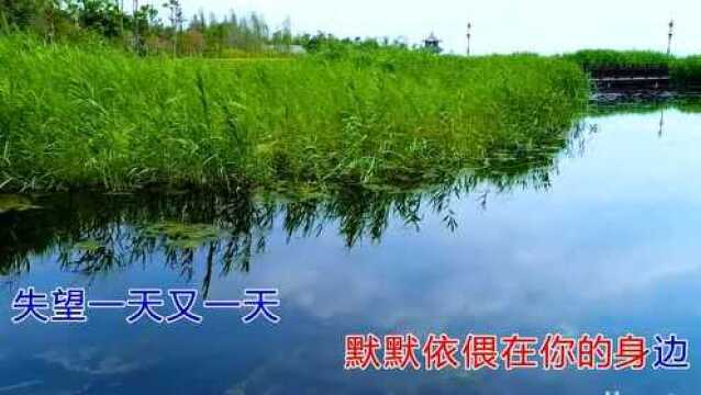 永恒的依恋