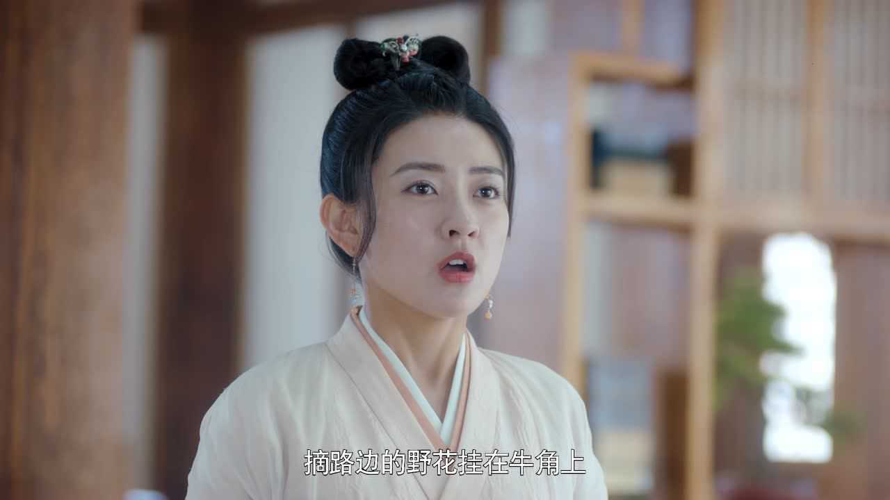 雁归西窗月 10集
