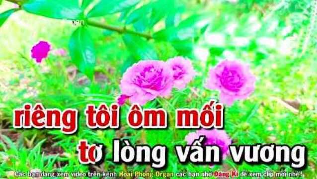 Tiễn Biệt  Tone Nữ Rumba