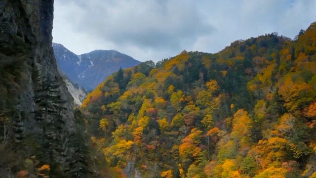 日本那些拥有神秘魔力的岛屿