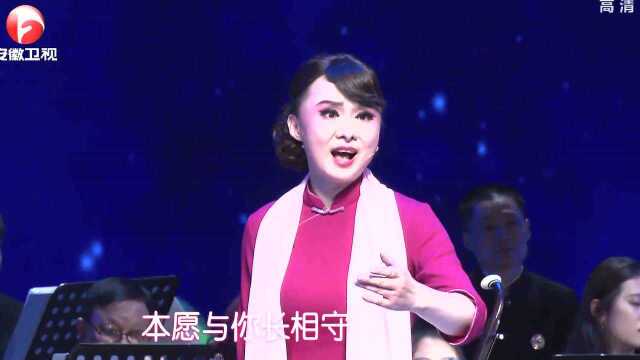 王春晖演唱《风尘女画家》