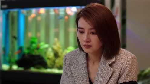 完美伴侣 30集