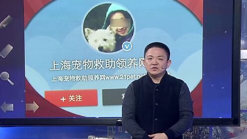 利用爱的骗局：宠物领养竟是圈套