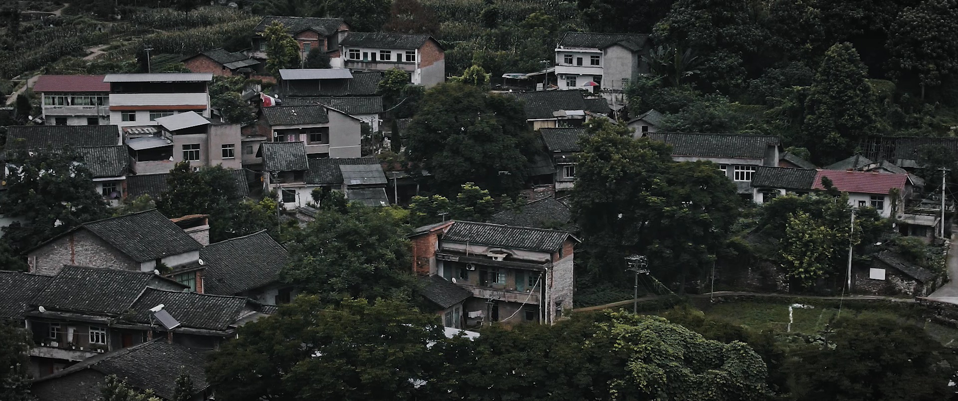 通天塔 8集