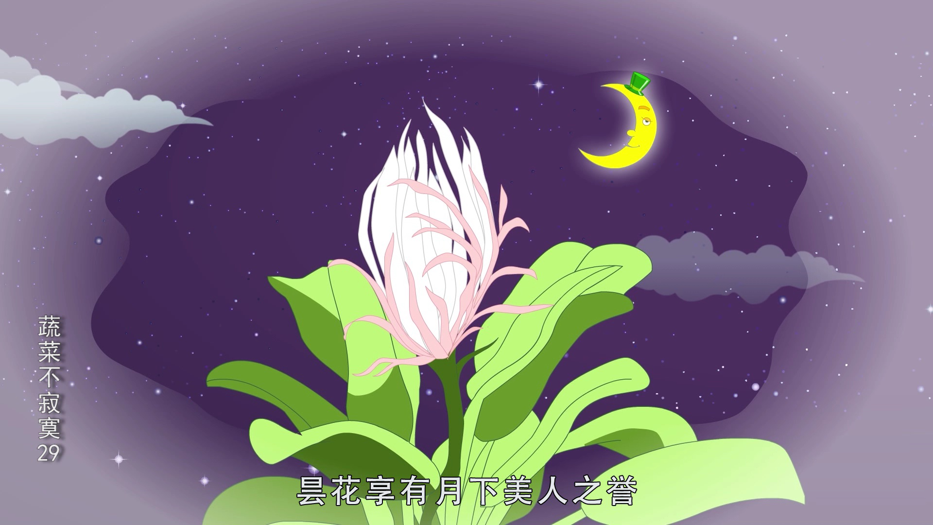蔬菜不寂寞29 5集