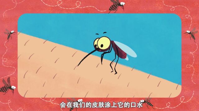 EP19蚊子:小蚊子是怎么招惹人类的?