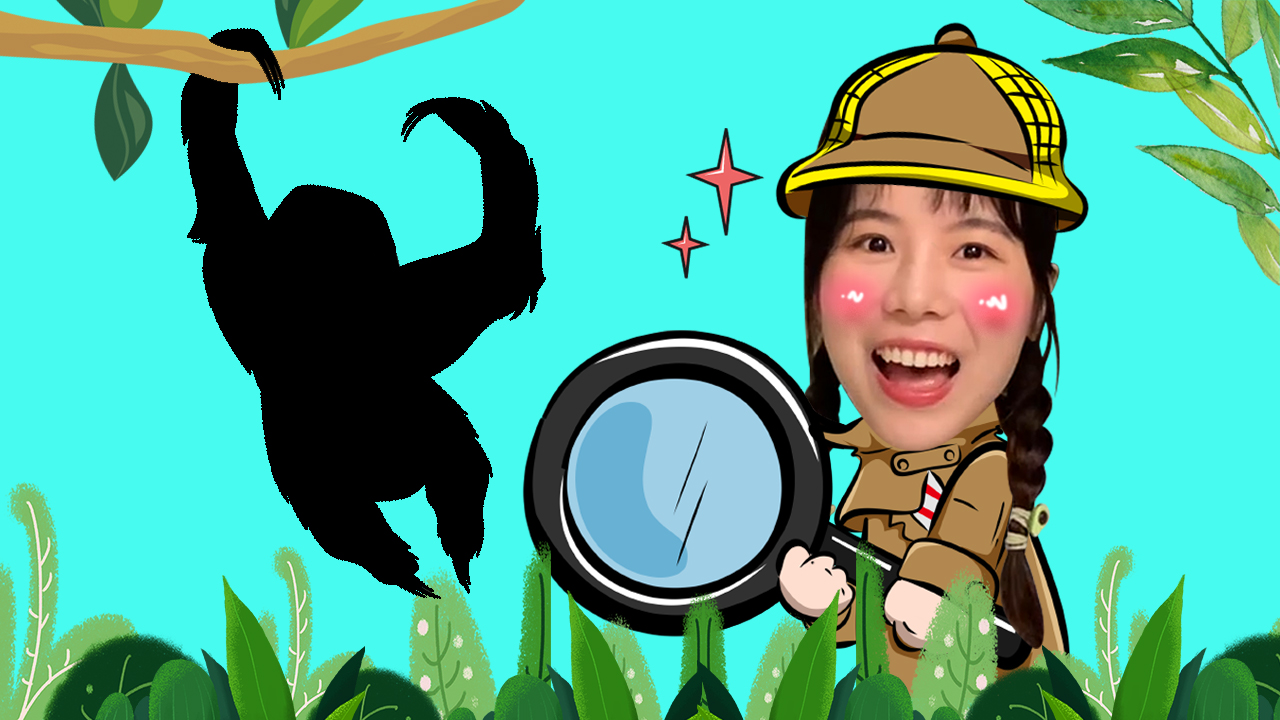 苏菲亚来了：探奇妙知识 67集