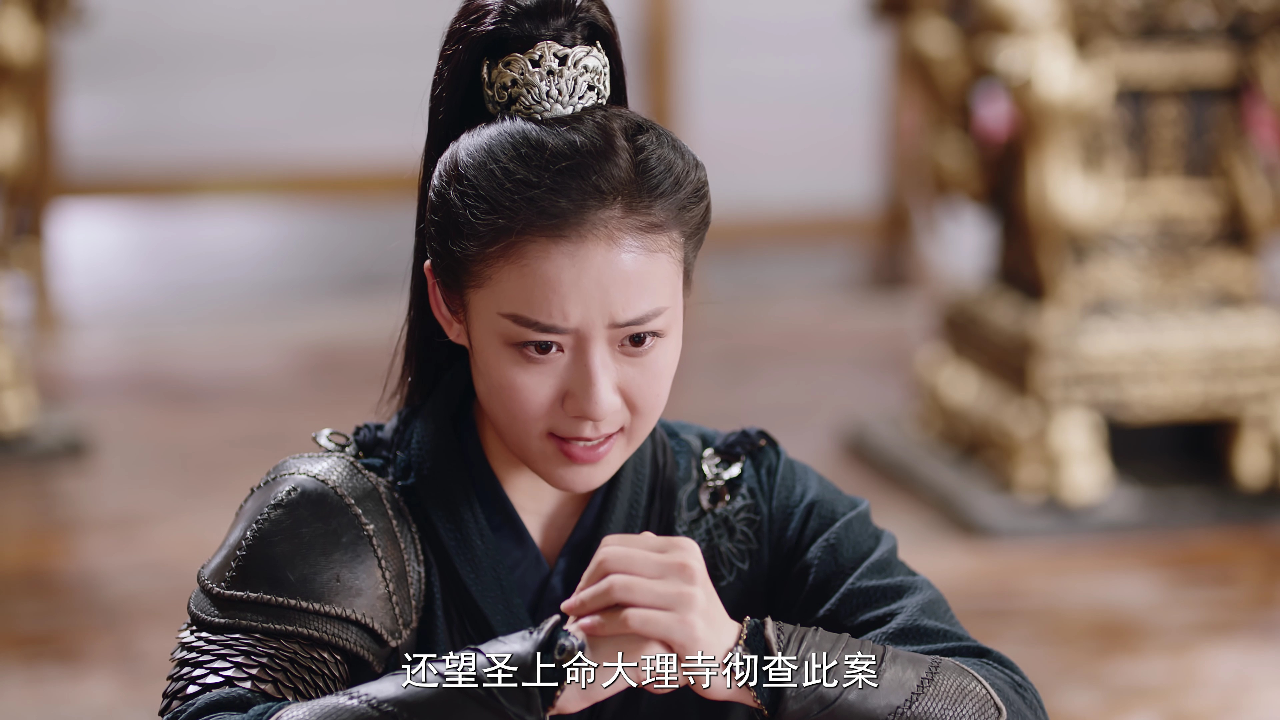 将军在下 19集