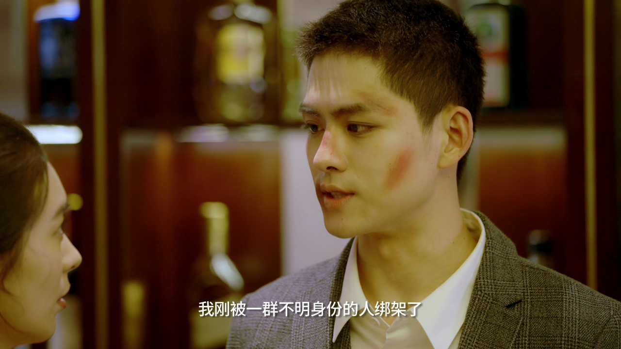 赘婿无双 20集