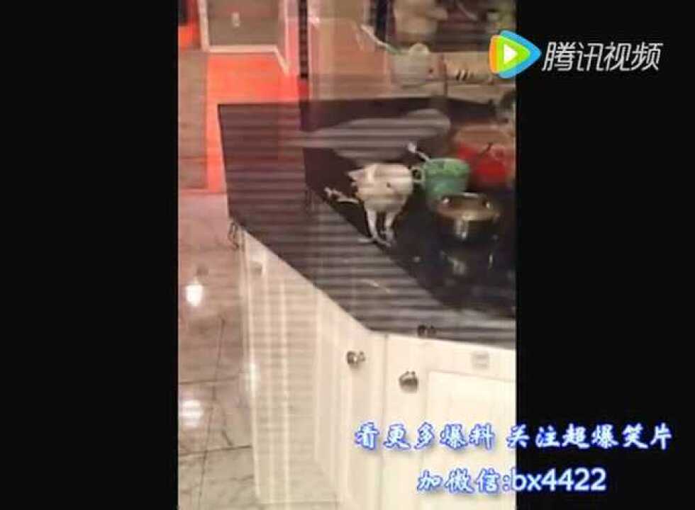 小情侣亲热被偷拍！_高清