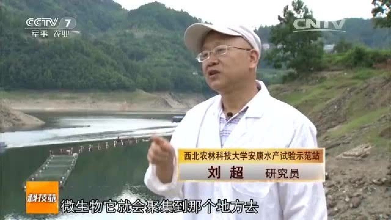 科技苑养肥鱼 【农广天地】孙子故里 果香鱼肥