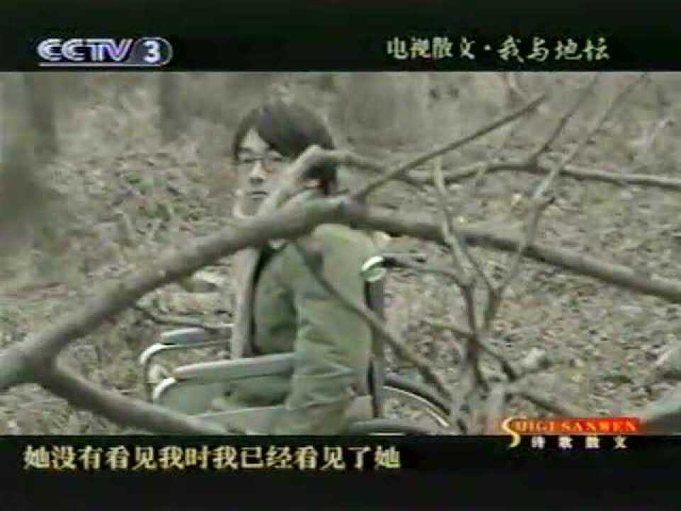 高清1080P在线观看平台_腾讯视频