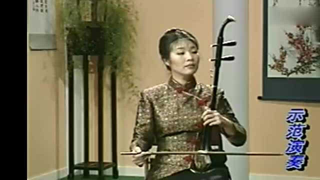 二胡独奏《葡萄熟了》_高清