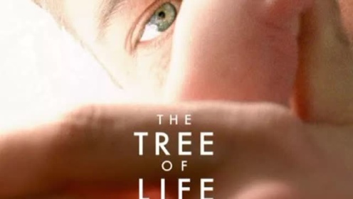 泰伦斯·马力克《生命之树》电影赏析