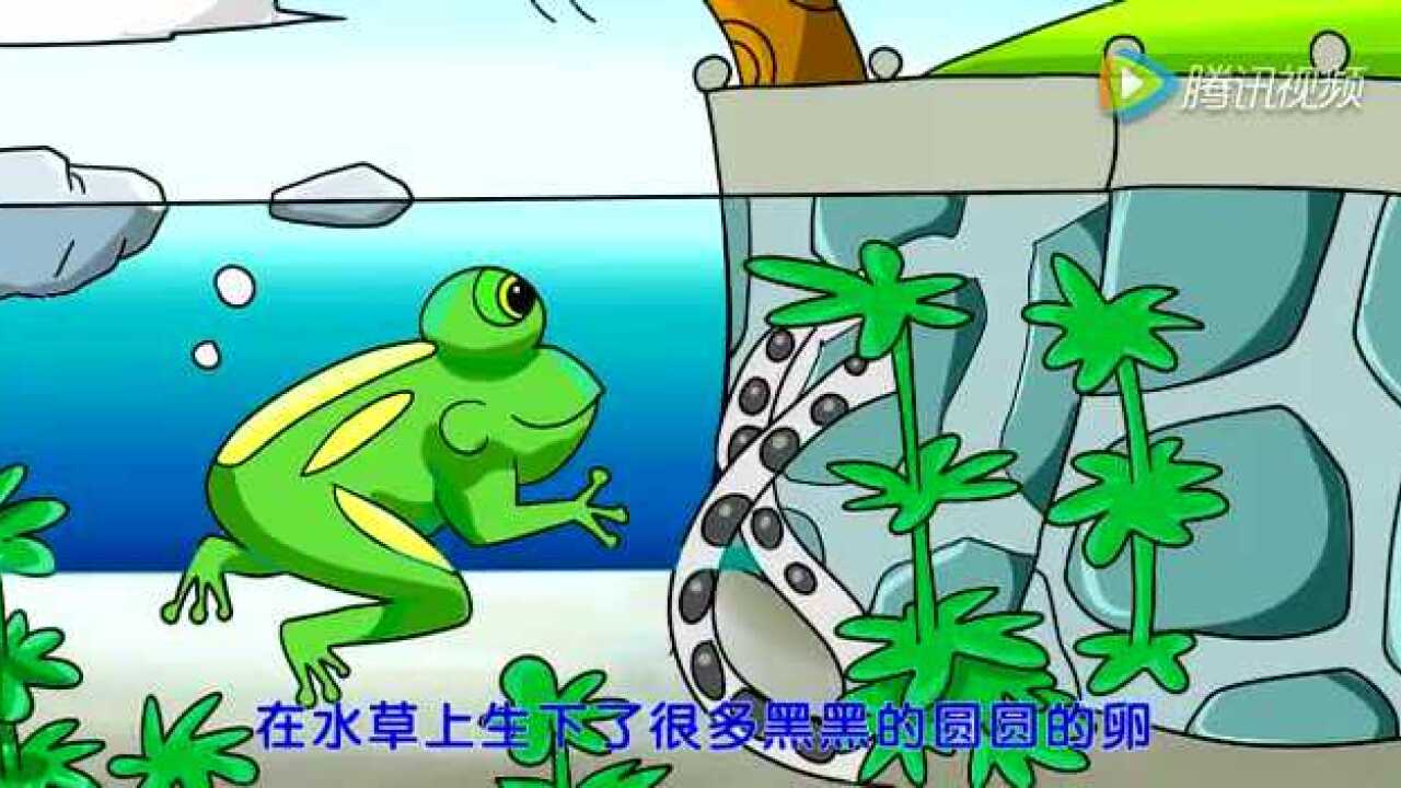 绘本视频小蝌蚪找妈妈_高清