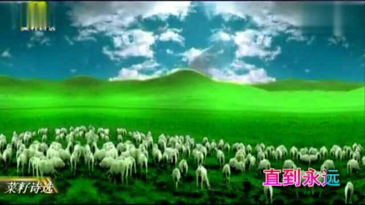 【诗篇第23篇】_高清1080P在线观看平台_腾讯视频