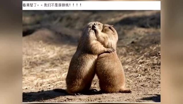腾讯视频