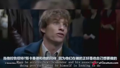 你一辈子都找不到的神奇动物在哪里的彩蛋