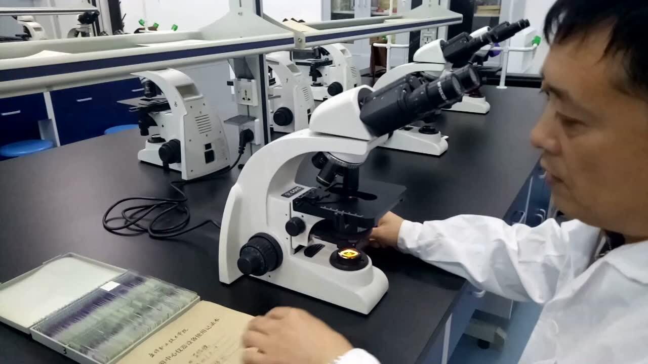 1080P 1080p