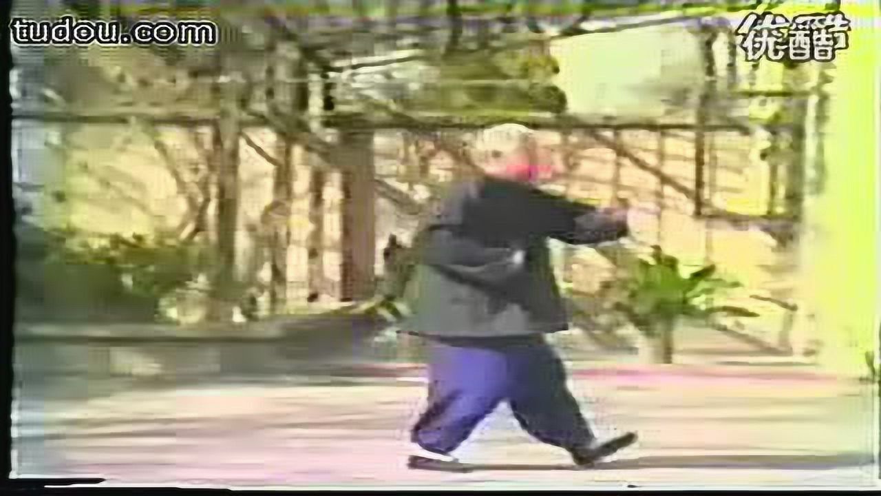 正宗传统杨氏85式太极拳(傅钟文)演练_高清1080P在线观看平台_腾讯视频
