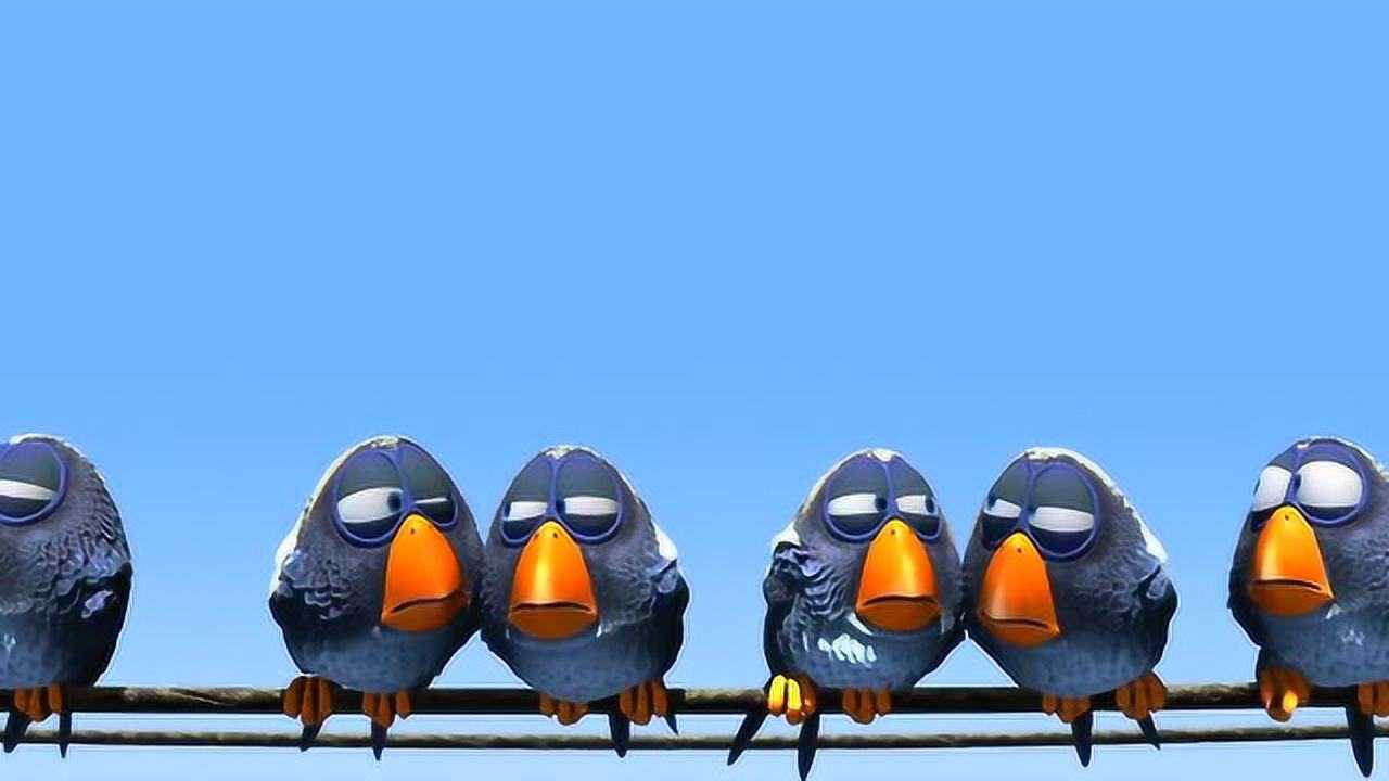 鸟至贱则无毛奥斯卡最佳动画短片forthebirds