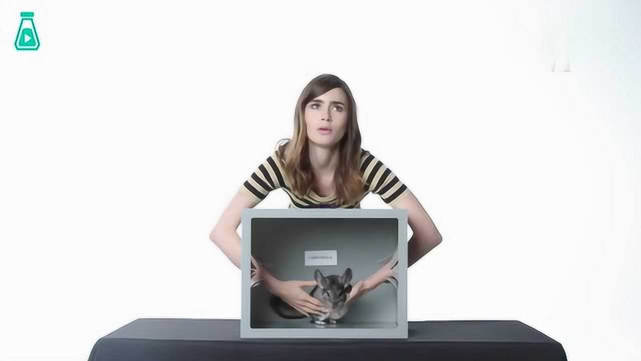 lilycollins挑战徒手摸东西第一个看得都头皮发麻