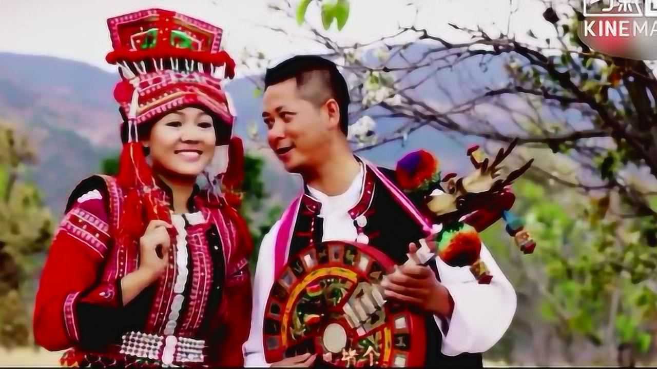 云南少数民族彝族情歌马樱花