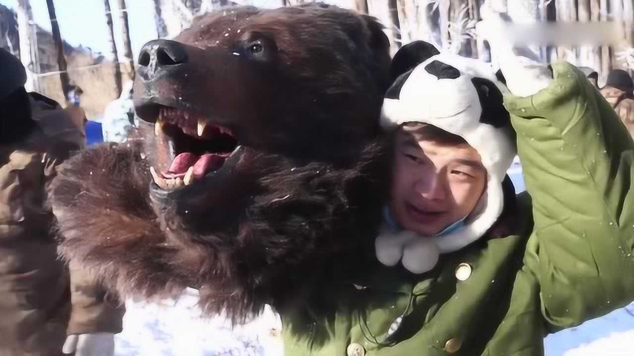 鬼吹灯黄皮子坟剧组成员竟然围攻人熊胡八一呢