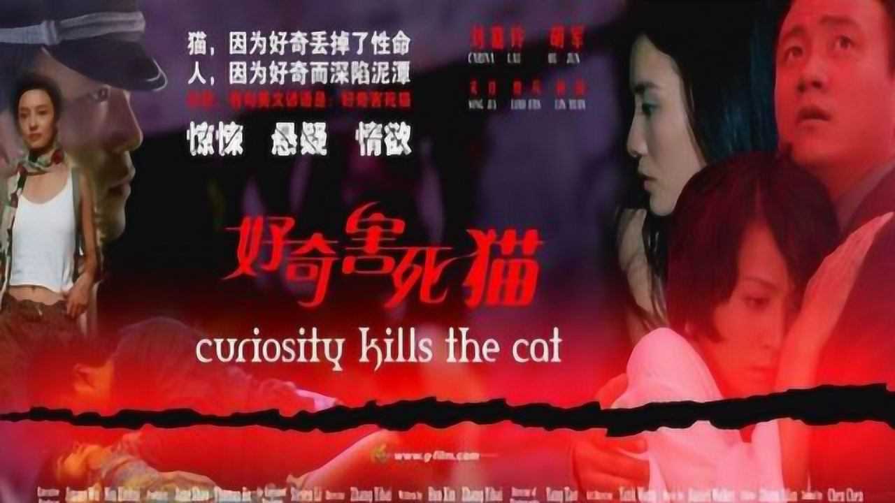 宋佳电影作品_推荐一部国产悬疑电影《好奇害死猫》_电影_高清完整版视频在线观看_腾讯视频
