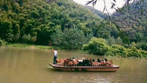 湖南郴州苏仙区荷叶坪乡 一起来欣赏这里的青山绿水吧