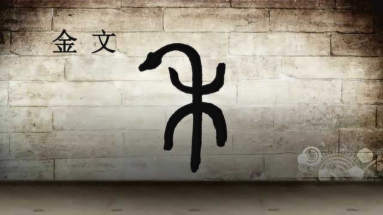 高清1080P在线观看平台_腾讯视频