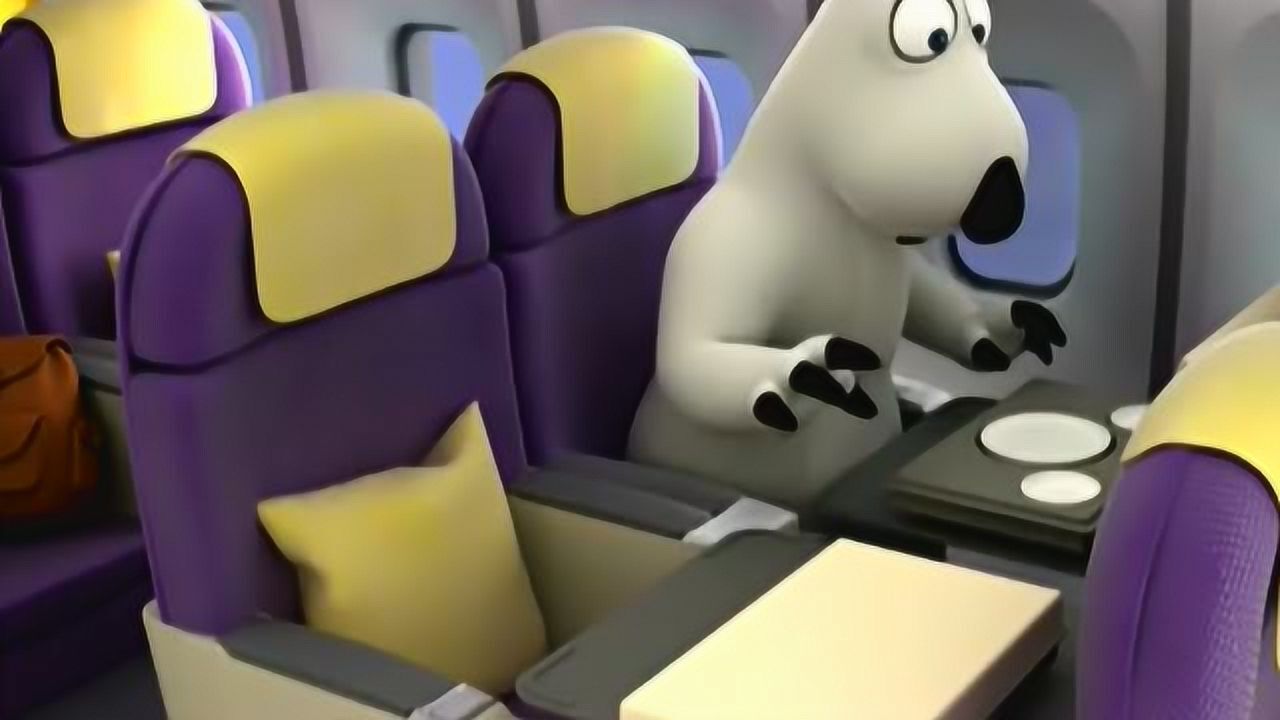 倒霉熊:倒霉熊在飞机上偷吃邻座的午餐后开始晕机,悠着点啊!