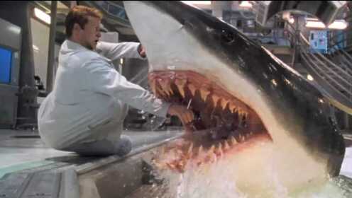 三分钟看完电影《深海狂鲨》, 高智商鲨鱼戏耍人类