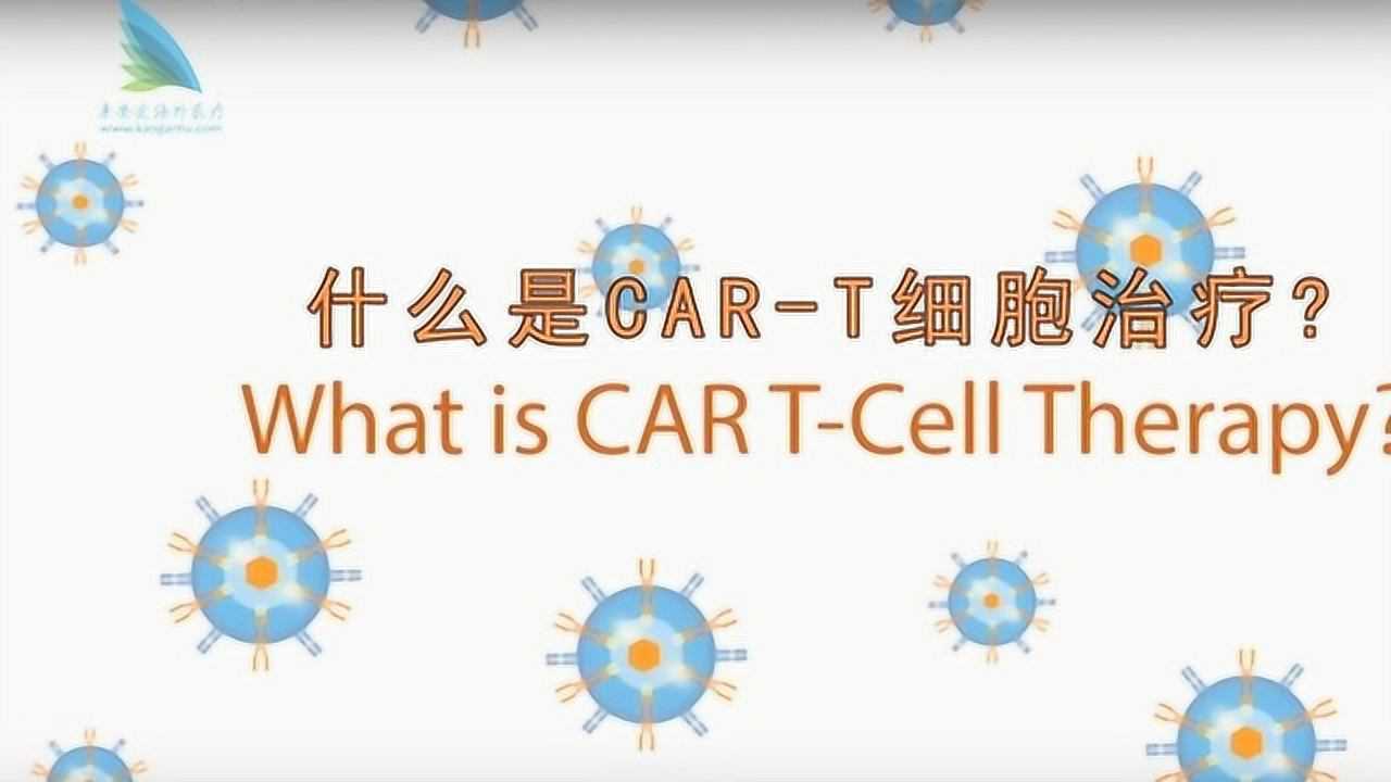 cart療法簡介cart細胞免疫療法是什麼cart真有這麼神奇