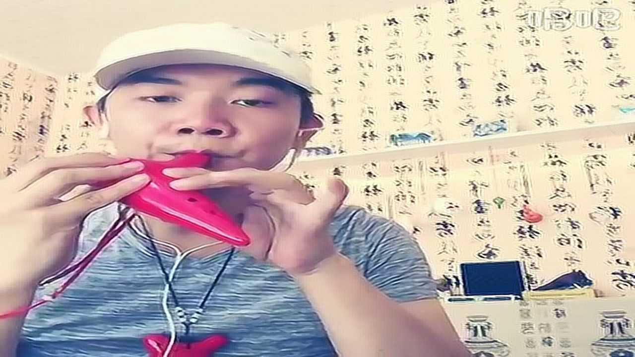 陶笛系列:汪苏泷《追光者》,d指法转降e指法