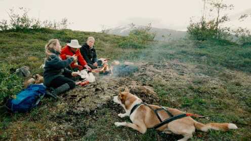 带二哈捡柴烤火摘浆果，体验挪威原始生活