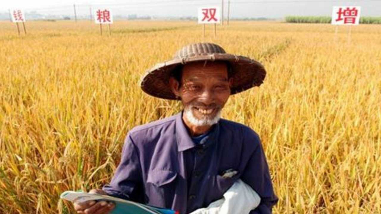 中国农业发展史, 见证时代的进步科技的发展, 农民生活越来越好了_腾讯视频