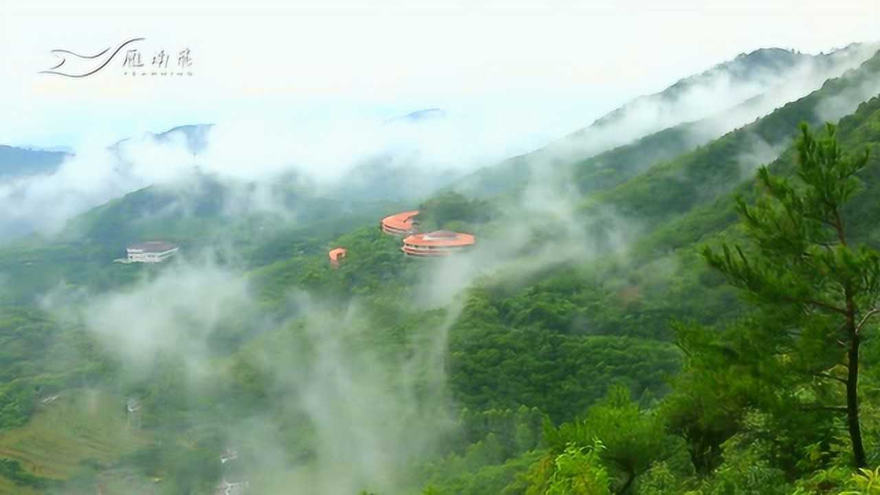 高清1080P在线观看平台_腾讯视频