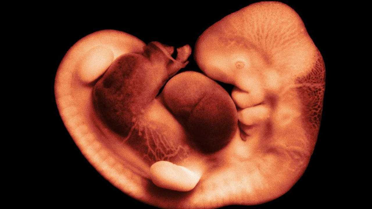 怎么样才能让胚芽更好的发育,如何才能使胚芽快速长出来