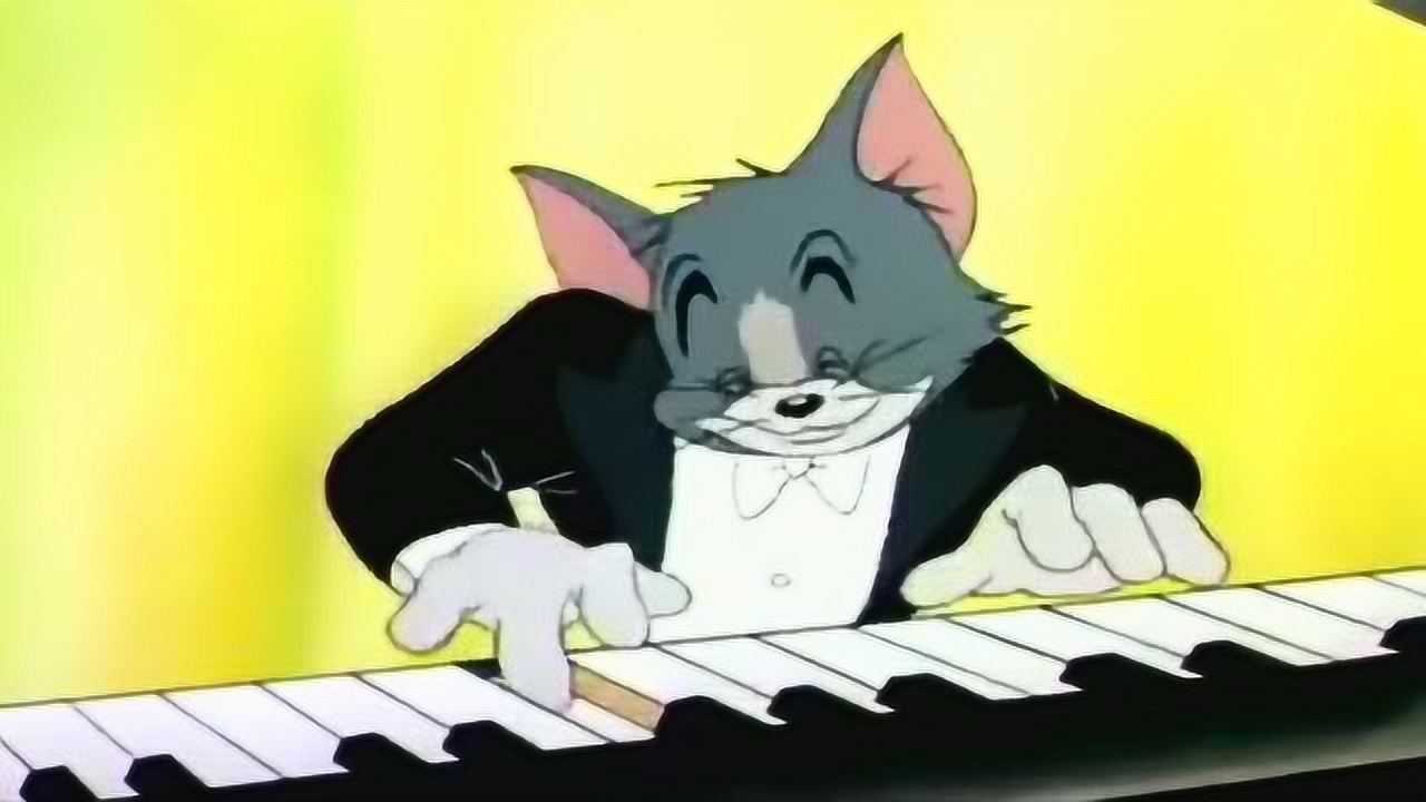 猫和老鼠 弹钢琴的汤姆帅