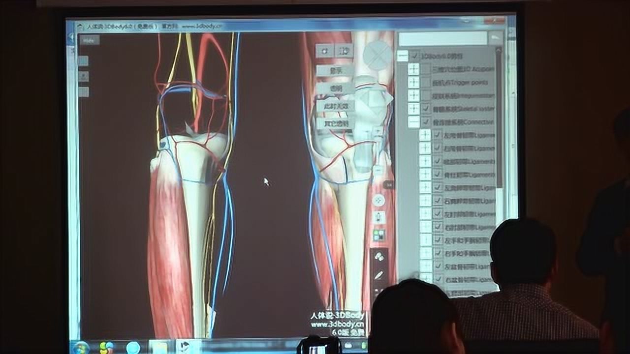 耿宝梁讲解膝关节解剖