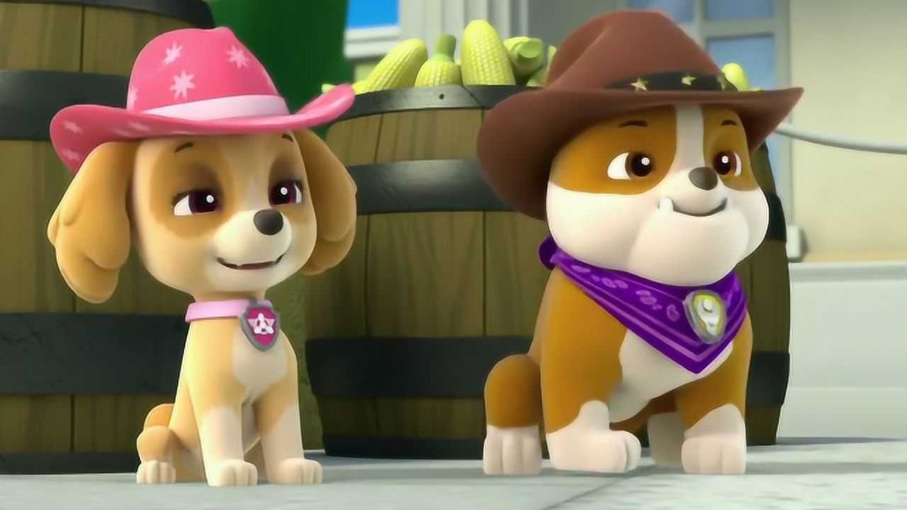 狗狗巡逻队小砾是最帅的牛仔狗狗汪汪队立大功