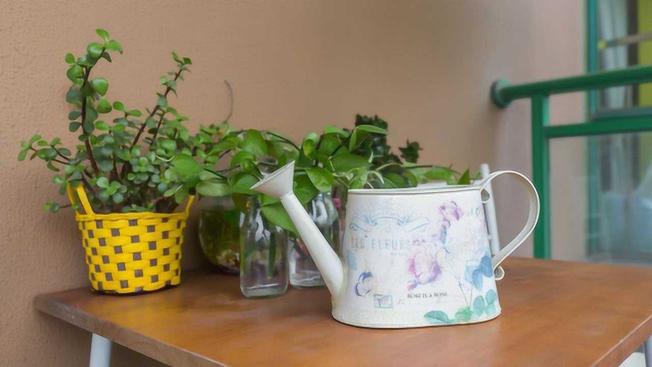 不用花一分钱,牛人自制浇花水壶,方法这么简单,还很好用哦