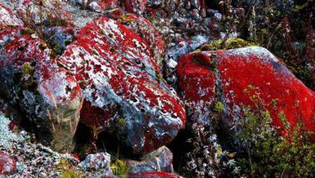 红色的雨水你见过吗?印度居民就曾经见过为期两个月的红雨!