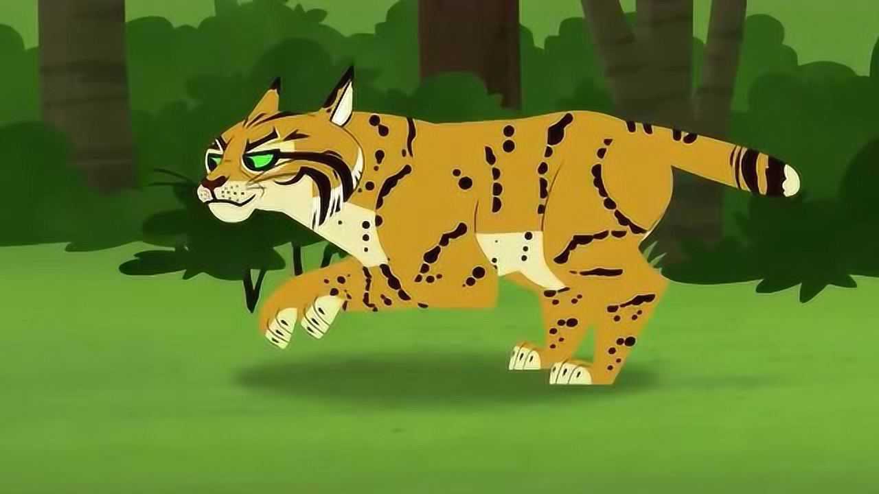 动物兄弟这只老虎不伤人竟然会跳舞不笑你打我