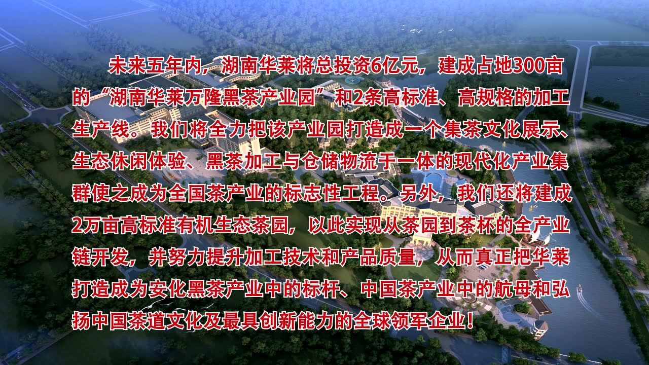 华莱公司发展历程