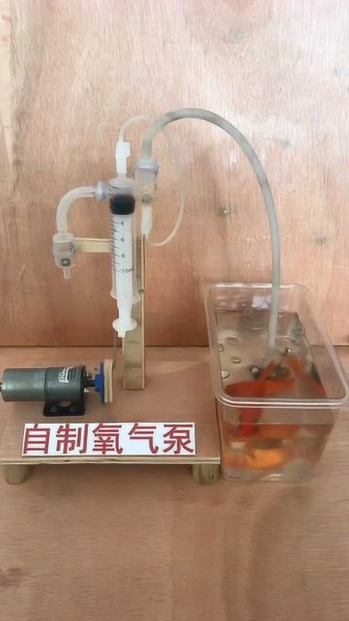 自制氧气泵不用电也让鱼不缺氧