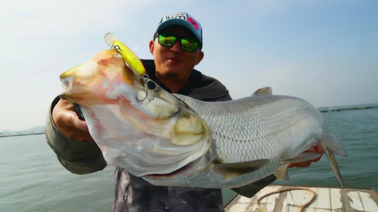 骆马湖路亚翘嘴攻略-上 早晨,偶遇网箱边炸水