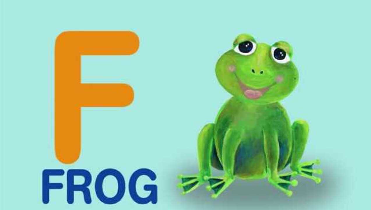 动物字母歌abcsong字母发音学习少儿英语启蒙早教动画