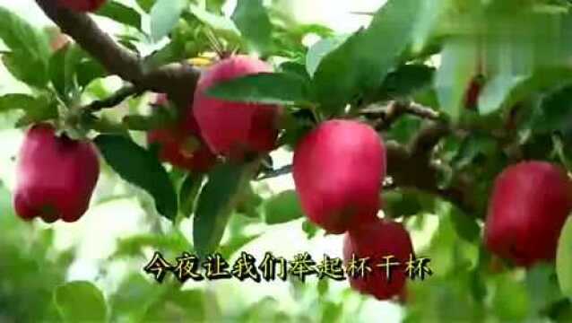 一首精选中文DJ舞曲美了美了送给你